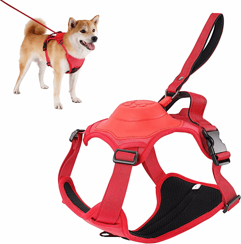 Arnês para cães com guia ajustável - 2 em 1