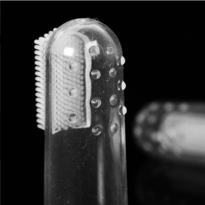 Escova de dentes de silicone não tóxico | bandit pet store | @bandit.p.store | www.banditpetstore.com.br | Escova de dentes para pets , animal de estimação, animais de estimação, Pet Shop, Pet Store. Bandit Pet Store.