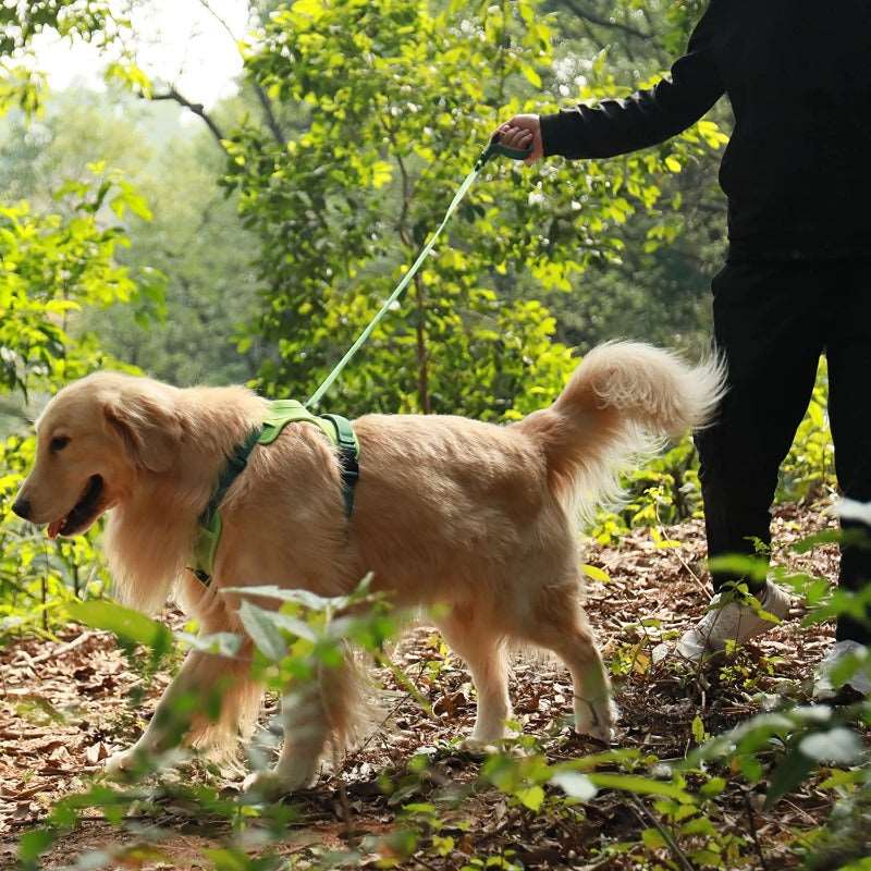 Arnês para cães com guia ajustável - 2 em 1