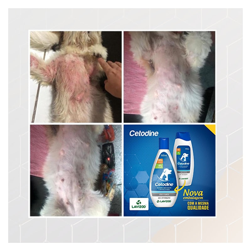 Cetodine Lavizoo Shampoo Antifúngico e Antibacteriano para Cães e Gatos