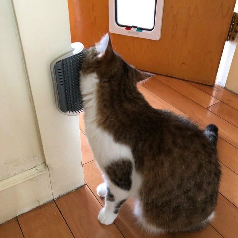 Escova de massagem para Gato com erva Cat Nip