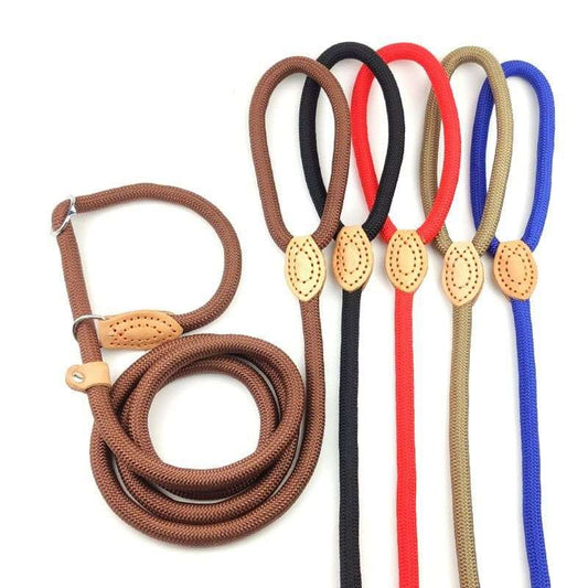 Guia de treinamento para cachorro - corda trançada em nylon