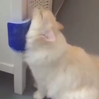 Escova de massagem para Gato com erva Cat Nip
