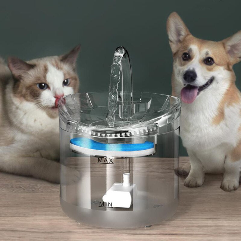 Fonte de água para Pets - 2L com torneira - Bebedor transparente com filtro